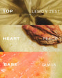 Diagram showing the layers of a peach with 'Top' labeled as lemon zest, 'Heart' labeled as peach, and 'Base' labeled as guava.