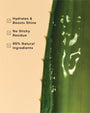 Aloe vera leaf with hydration benefits text on a beige background