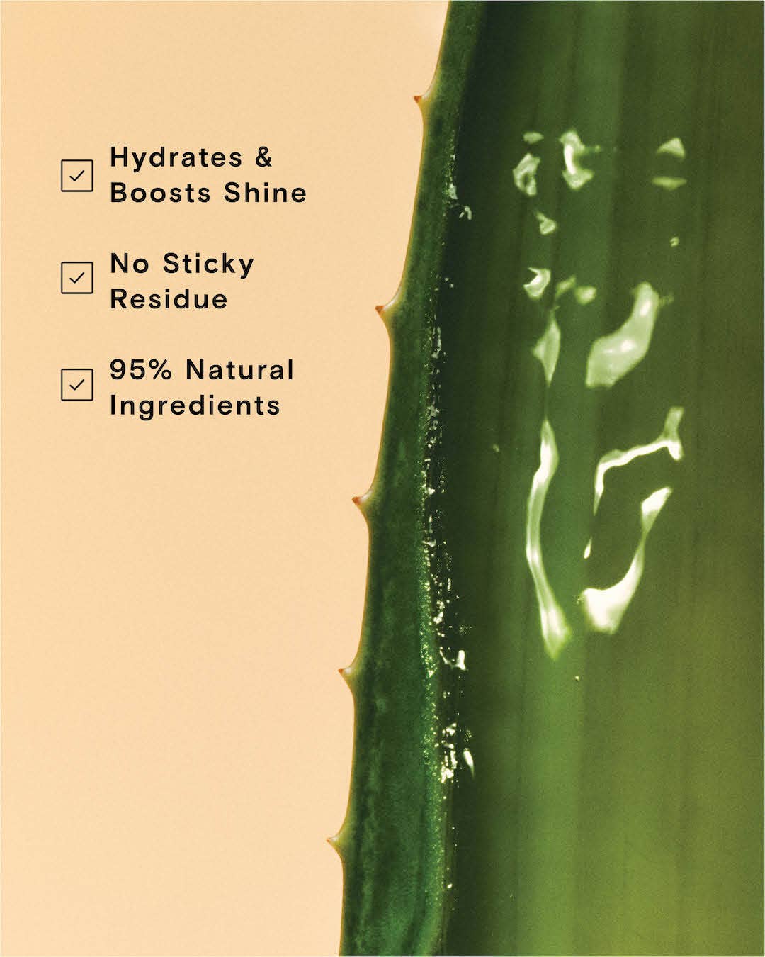 Aloe vera leaf with hydration benefits text on a beige background