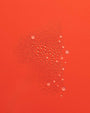 Water droplets on a red surface