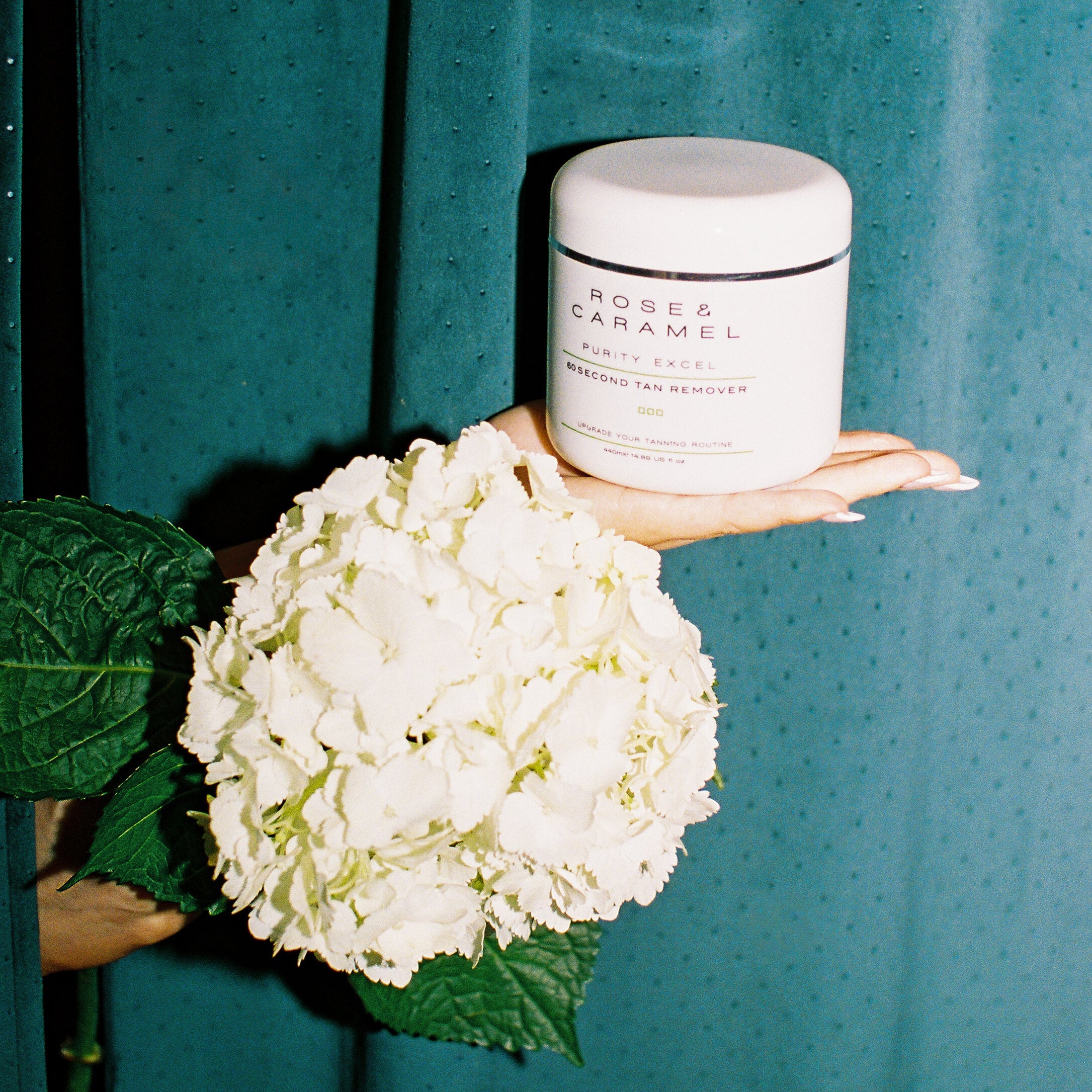 White jar labeled 'Rose & Caramel'  with a white flower against a teal curtain.
