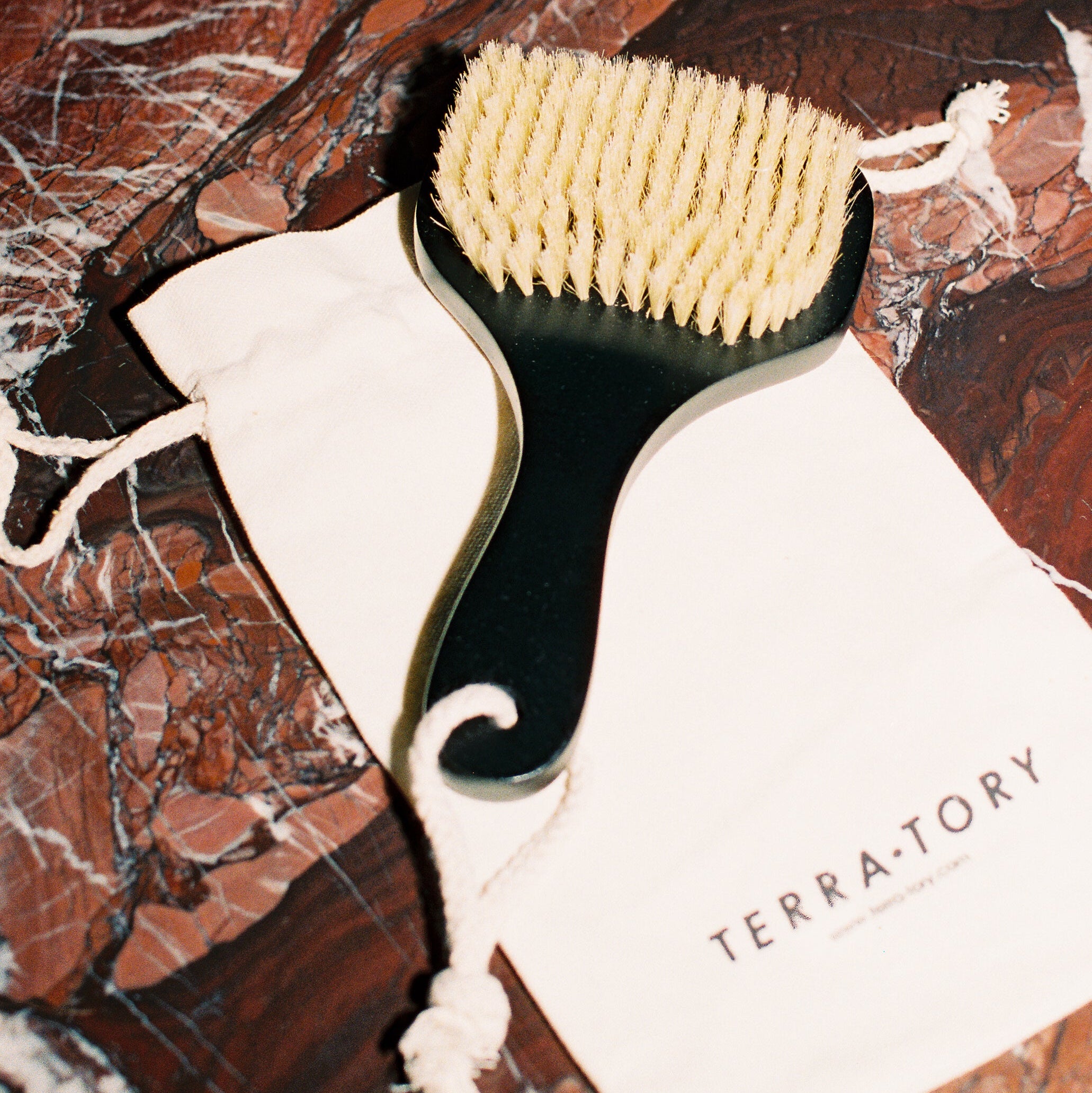 dry body brush on a brown marble background